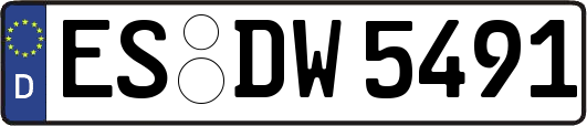ES-DW5491