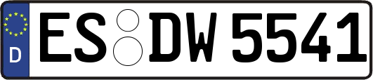 ES-DW5541