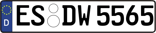ES-DW5565