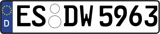 ES-DW5963