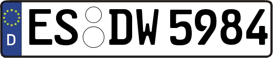 ES-DW5984