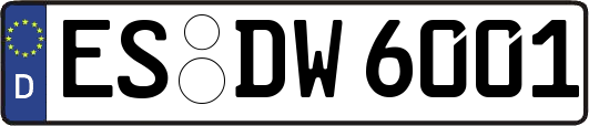 ES-DW6001