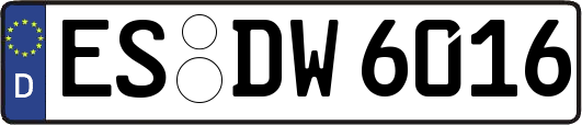 ES-DW6016
