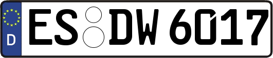 ES-DW6017
