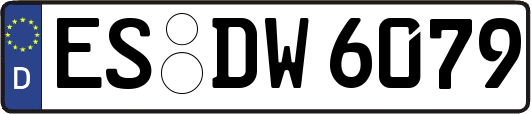 ES-DW6079