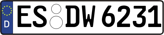 ES-DW6231