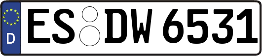 ES-DW6531