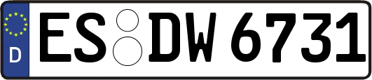 ES-DW6731