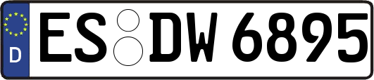 ES-DW6895
