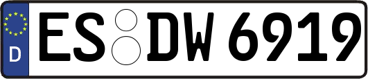 ES-DW6919