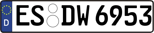 ES-DW6953