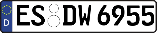 ES-DW6955