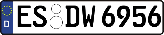 ES-DW6956