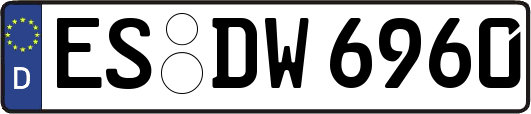 ES-DW6960