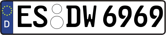 ES-DW6969