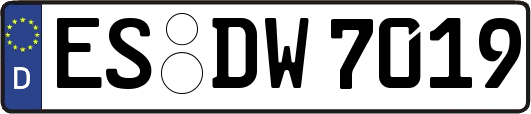 ES-DW7019