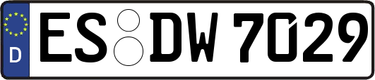 ES-DW7029