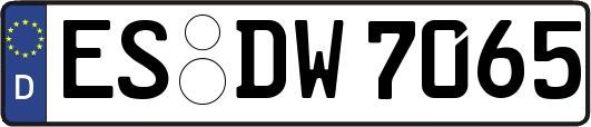 ES-DW7065