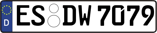 ES-DW7079
