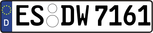 ES-DW7161