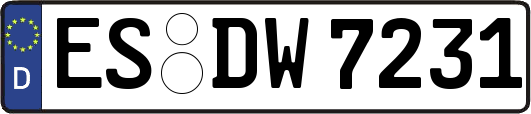 ES-DW7231