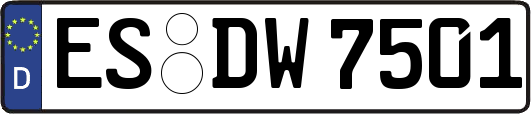 ES-DW7501