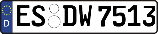 ES-DW7513