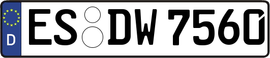 ES-DW7560