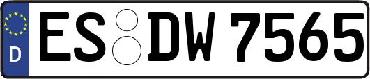 ES-DW7565