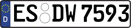 ES-DW7593