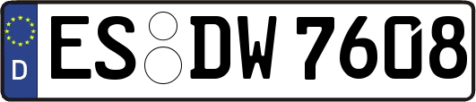 ES-DW7608