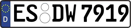 ES-DW7919