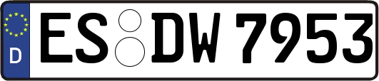 ES-DW7953