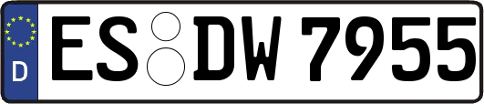 ES-DW7955