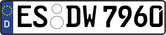 ES-DW7960