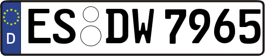ES-DW7965
