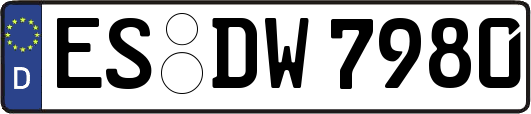 ES-DW7980