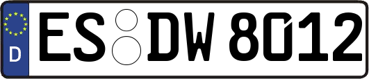 ES-DW8012