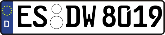 ES-DW8019
