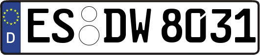 ES-DW8031