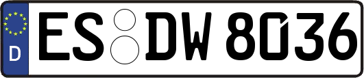 ES-DW8036