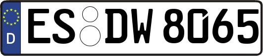 ES-DW8065