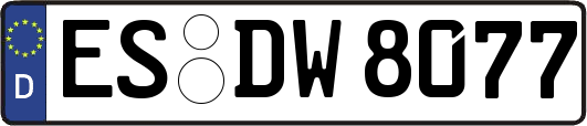 ES-DW8077