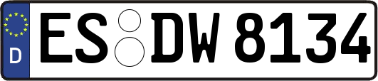 ES-DW8134