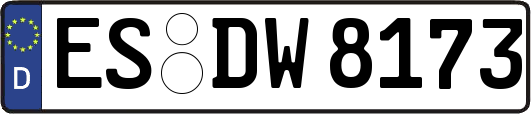 ES-DW8173