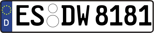 ES-DW8181