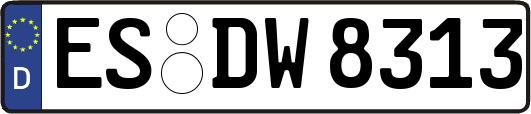 ES-DW8313