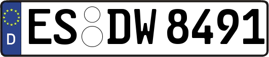 ES-DW8491