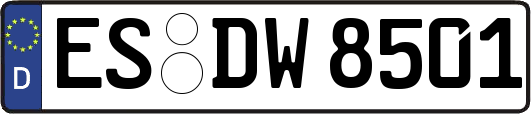 ES-DW8501