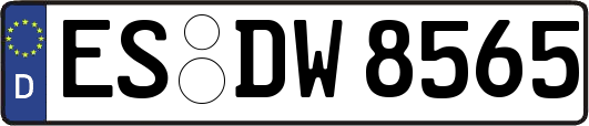 ES-DW8565